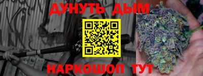 шишки Братск
