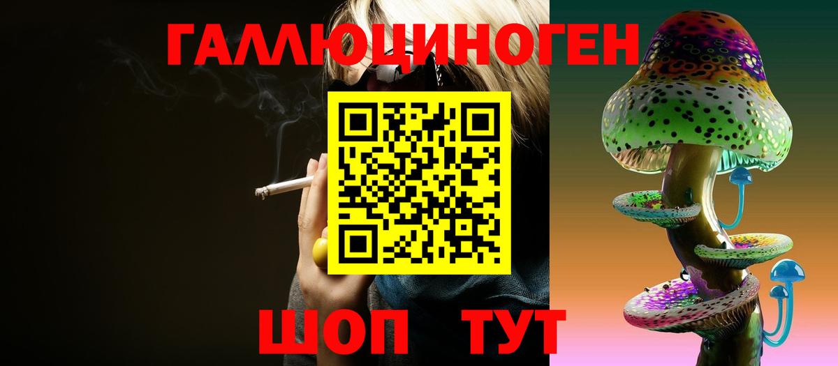 Котлас  где продают наркотики  Галлюциногенные грибы MAGIC MUSHROOMS  Вход с VPN  Псилоцибиновые грибы Magic Shrooms 